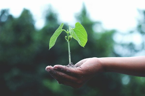 10 appareils électroniques pour faciliter votre quotidien