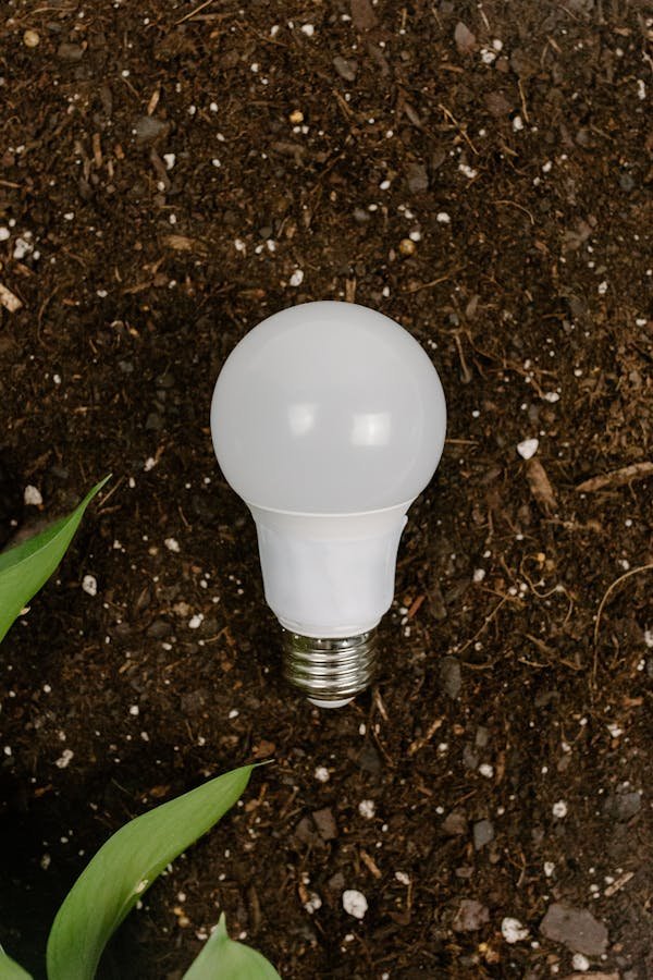 Xanlite store : les meilleures ampoules led pour votre intérieur